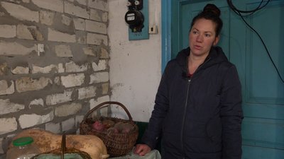 Забирають листя у сусідів: подружжя з Черкащини розводить "гумусних" черв'яків Забирають листя у сусідів: подружжя з Черкащини розводить "гумусних" черв'яків