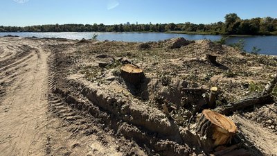 Вирубані дерева на території заказника Горбачиха