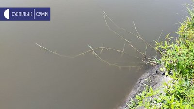 На Сумщині у ставку видобували корисні копалини На Сумщині у ставку видобували корисні копалини