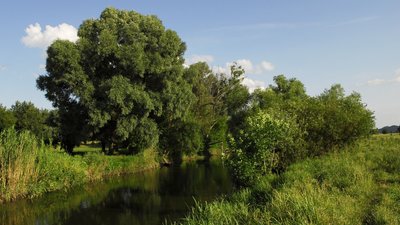 Підприємство з Київщини незаконно використовує частину водосховища річки Рось — прокуратура