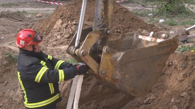 Врятовані у Луцьку цуценята почуваються добре, - Оксана Богданюк Врятовані у Луцьку цуценята почуваються добре, - Оксана Богданюк