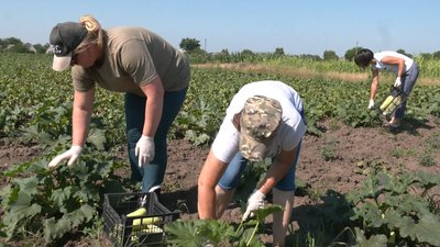 На Черкащині збирають врожай "Садів перемоги" На Черкащині збирають врожай "Садів перемоги"