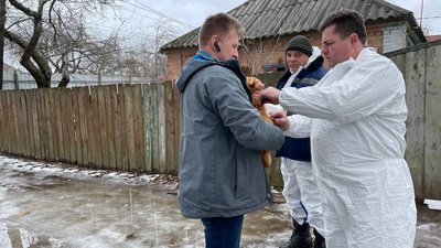 У Полтавському районі тварин безплатно щеплюють від сказу У Полтавському районі тварин безплатно щеплюють від сказу