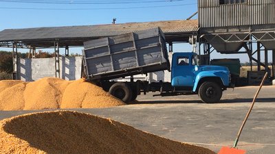 На Полтавщині збирають урожай На Полтавщині збирають урожай