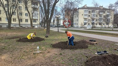 Озеленення Полтави: скільки кущів та дерев посадять цього року