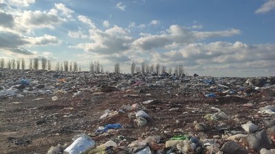 Хто, як та за скільки вивозить опале листя з луцьких дворів і доріг Хто, як та за скільки вивозить опале листя з луцьких дворів і доріг