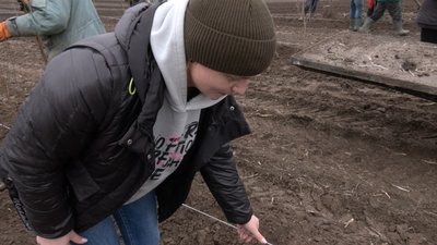 На Волині заклали найбільший вишневий сад На Волині заклали найбільший вишневий сад