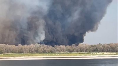 Пожежа у плавневій зоні річки Дніпро на Запоріжжі