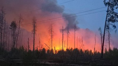 Пожежа у Чорнобильській зоні