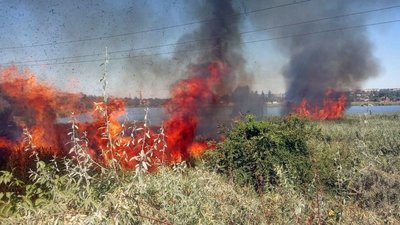 За добу на Дніпропетровщині в природних екосистемах виникло 37 пожеж на загальній площі 25 га За добу на Дніпропетровщині в природних екосистемах виникло 37 пожеж на загальній площі 25 га