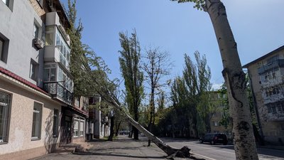 Буревій у Миколаєві повалив дерева: що відомо Буревій у Миколаєві повалив дерева: що відомо