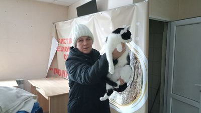 У Житомирі відновлять безкоштовну стерилізацію безпритульних тварин У Житомирі відновлять безкоштовну стерилізацію безпритульних тварин
