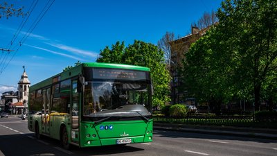 Автобуси Миколаїв