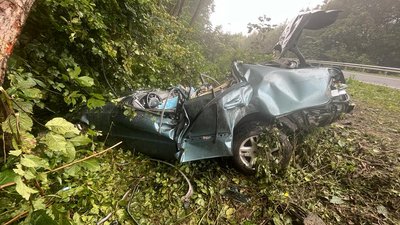 Водій врізався у дерево: на Львівщині у ДТП загинуло двоє людей Водій врізався у дерево: на Львівщині у ДТП загинуло двоє людей