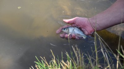 На Кіровоградщині відбувся риболовний турнір пам’яті Юрія Коваленка На Кіровоградщині відбувся риболовний турнір пам’яті Юрія Коваленка
