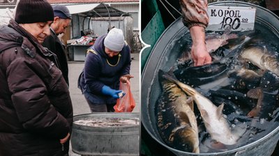 Жива риба на ринку Рівного: які ціни восени та що купують найчастіше