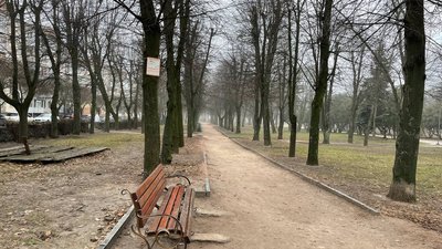Житомир, погода, грудень 2024 року