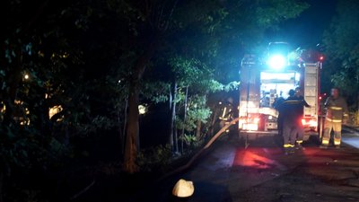 В Одесі поблизу пляжу спалахнула пожежа