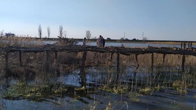 У Тилігульському заповіднику, що на Миколаївщині, будують острови для гніздування рідкісних птахів