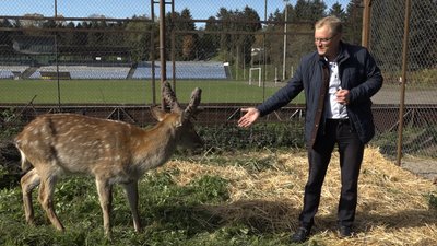 Як на Прикарпатті доглядають за тваринами, яких евакуювали із зони бойових дій Як на Прикарпатті доглядають за тваринами, яких евакуювали із зони бойових дій