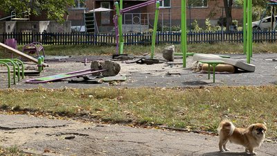 У Полтаві встановили водія, який пошкодив спортмайданчик на вулиці Панянки