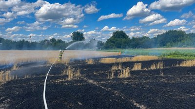 На Черкащині протягом доби 22 липня виникло десять пожеж сухостою, сміття та стерні