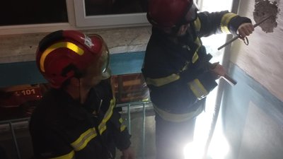 У Тернополі рятували кота У Тернополі рятували кота