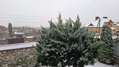 сніг, зима, тернопіль, тернопільська область, перший сніг