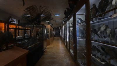 Динозавр, мамонт та копія телеграфу з "Титаніка": львівські музейники розповіли про експозицію Динозавр, мамонт та копія телеграфу з "Титаніка": львівські музейники розповіли про експозицію