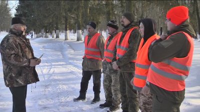 Вінницькі лісівники заготовляють насіння хвойних порід Вінницькі лісівники заготовляють насіння хвойних порід