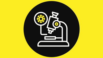 Вплив карантину на рівень захворюваності. Огляд наукових досліджень про коронавірус