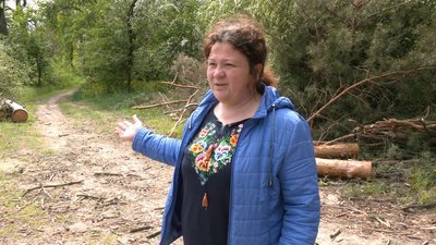 У черкаському парку невідомі вирубали молоді дерева У черкаському парку невідомі вирубали молоді дерева