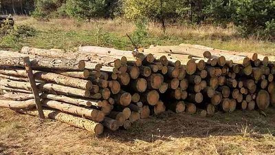 Державні підприємства лісової галузі Житомирщини готові забезпечити дровами населення та соціальну сферу Державні підприємства лісової галузі Житомирщини готові забезпечити дровами населення та соціальну сферу
