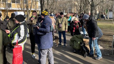 Собаки знайшли собі господарів. У Миколаєві відбулась виставка-прилаштування Собаки знайшли собі господарів. У Миколаєві відбулась виставка-прилаштування