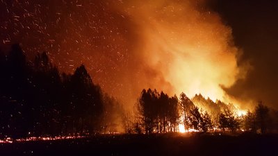 "За 24 роки служби я таку пожежу бачив вперше," - запорізькі рятувальники про пожежі на Луганщині