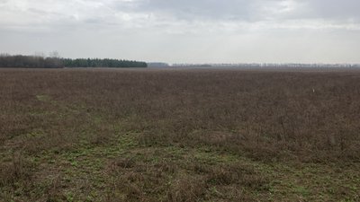 ферма у Хотімлі ферма у Хотімлі