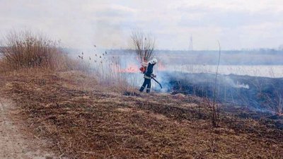 На Львівщині від початку року виникло близько 200 пожеж у екосистемах. Чим це загрожує На Львівщині від початку року виникло близько 200 пожеж у екосистемах. Чим це загрожує