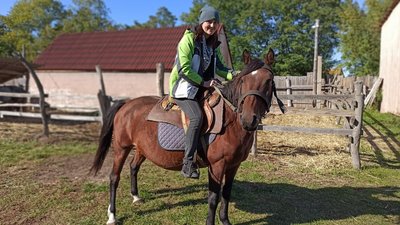 На Рівненщині шукають коней поліської породи. Хто та чому це робить На Рівненщині шукають коней поліської породи. Хто та чому це робить