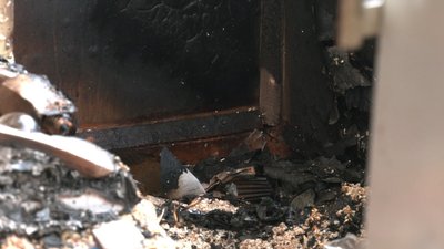 На Рівненщині затримали палія. На його рахунку чотири підпали в один день – поліція На Рівненщині затримали палія. На його рахунку чотири підпали в один день – поліція