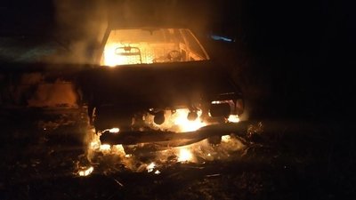 В Одеській області затримали чоловіків, які незаконно вирубували ліс – ДПСУ В Одеській області затримали чоловіків, які незаконно вирубували ліс – ДПСУ
