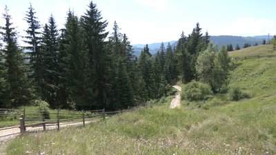 Рік без переправи. Як живуть люди у присілку Бречник у Верховині Рік без переправи. Як живуть люди у присілку Бречник у Верховині