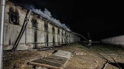 На Тернопільщині горіла недіюча ферма