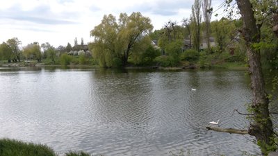 Жителі селища на Черкащині виступають проти перейменування Жителі селища на Черкащині виступають проти перейменування