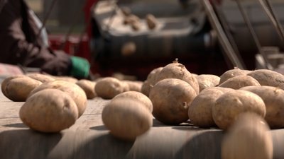 Підприємці Чернігівщини скаржаться на масове блокування податкових накладних: як це впливає на бізнес Підприємці Чернігівщини скаржаться на масове блокування податкових накладних: як це впливає на бізнес