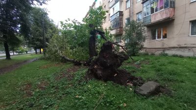 Гроза в Івано-Франківську: підтоплені вулиці та повалені дерева Гроза в Івано-Франківську: підтоплені вулиці та повалені дерева