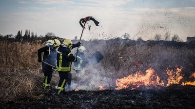 Вогонь охопив кілька гектарів: у Луцьку горів заказник "Гнідавське болото" Вогонь охопив кілька гектарів: у Луцьку горів заказник "Гнідавське болото"