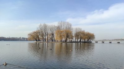 Тернопільський став
