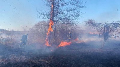 Не паліть сухостій: 13 пожеж за добу сталося на Черкащині