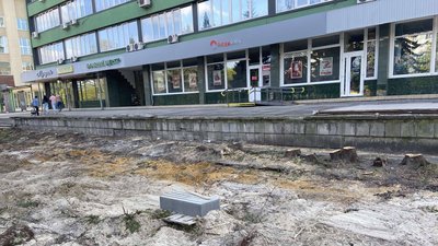 Зрубані дерева на проспекті Чорновола