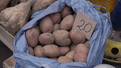 Здорожчала на 70 %: ціни на картоплю на вінницьких ринках Здорожчала на 70 %: ціни на картоплю на вінницьких ринках